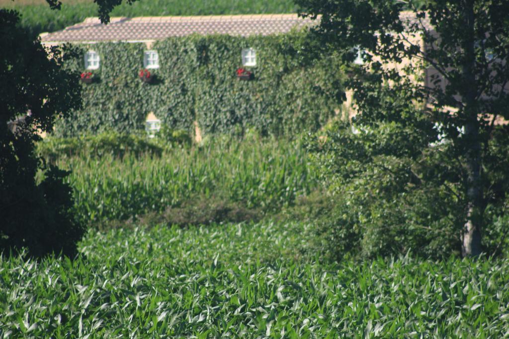 Casa Do Moinho Country house